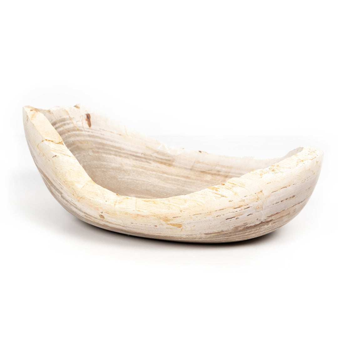 Cuenco de madera petrificada ovalada