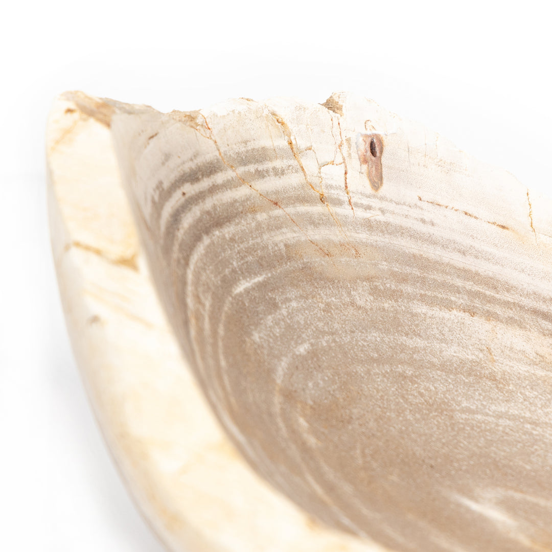 Cuenco de madera petrificada ovalada