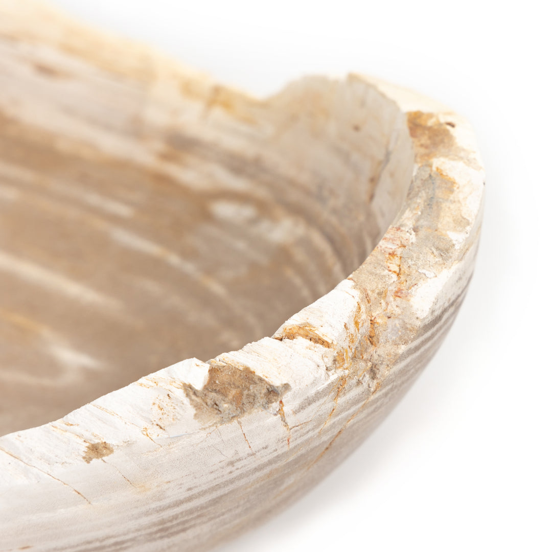 Cuenco de madera petrificada ovalada