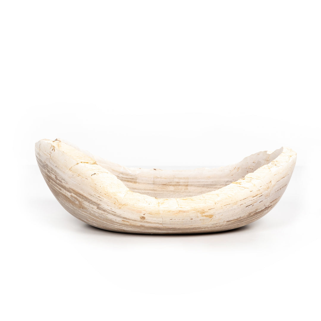 Cuenco de madera petrificada ovalada