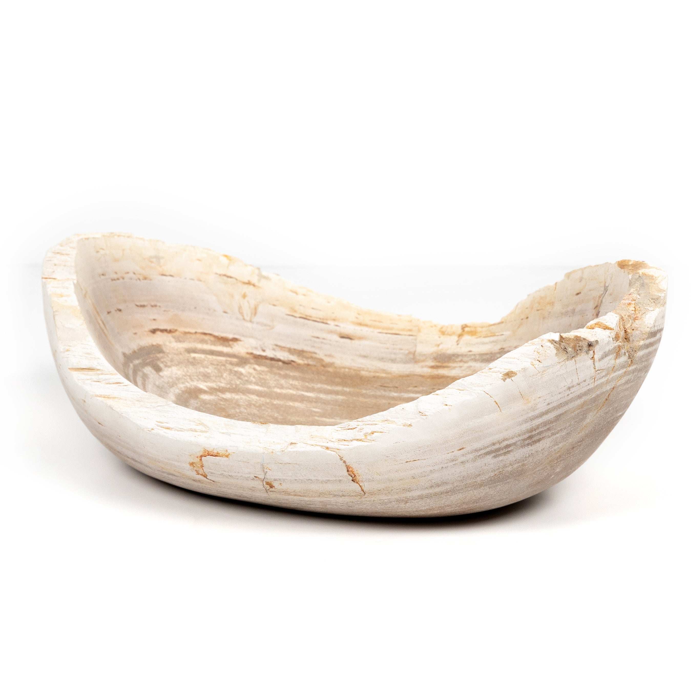 Cuenco de madera petrificada ovalada.